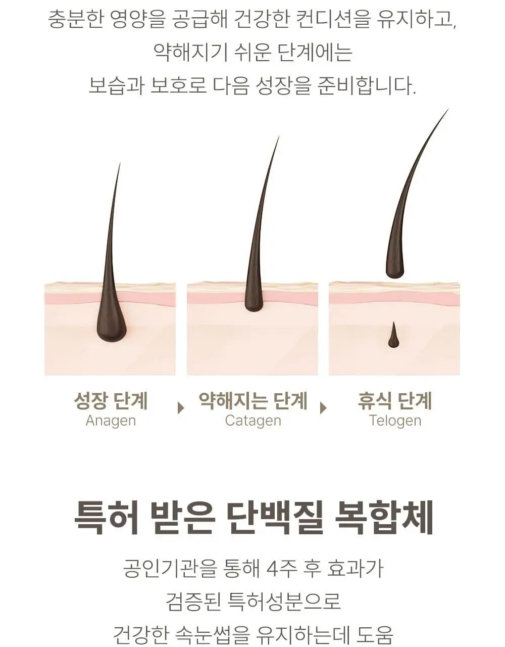 [1등속눈썹영양제] 마르시끄 속눈썹 영양제 5종 중 택1 상세페이지 36